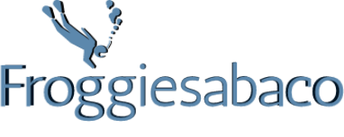 Froggiesabaco.com