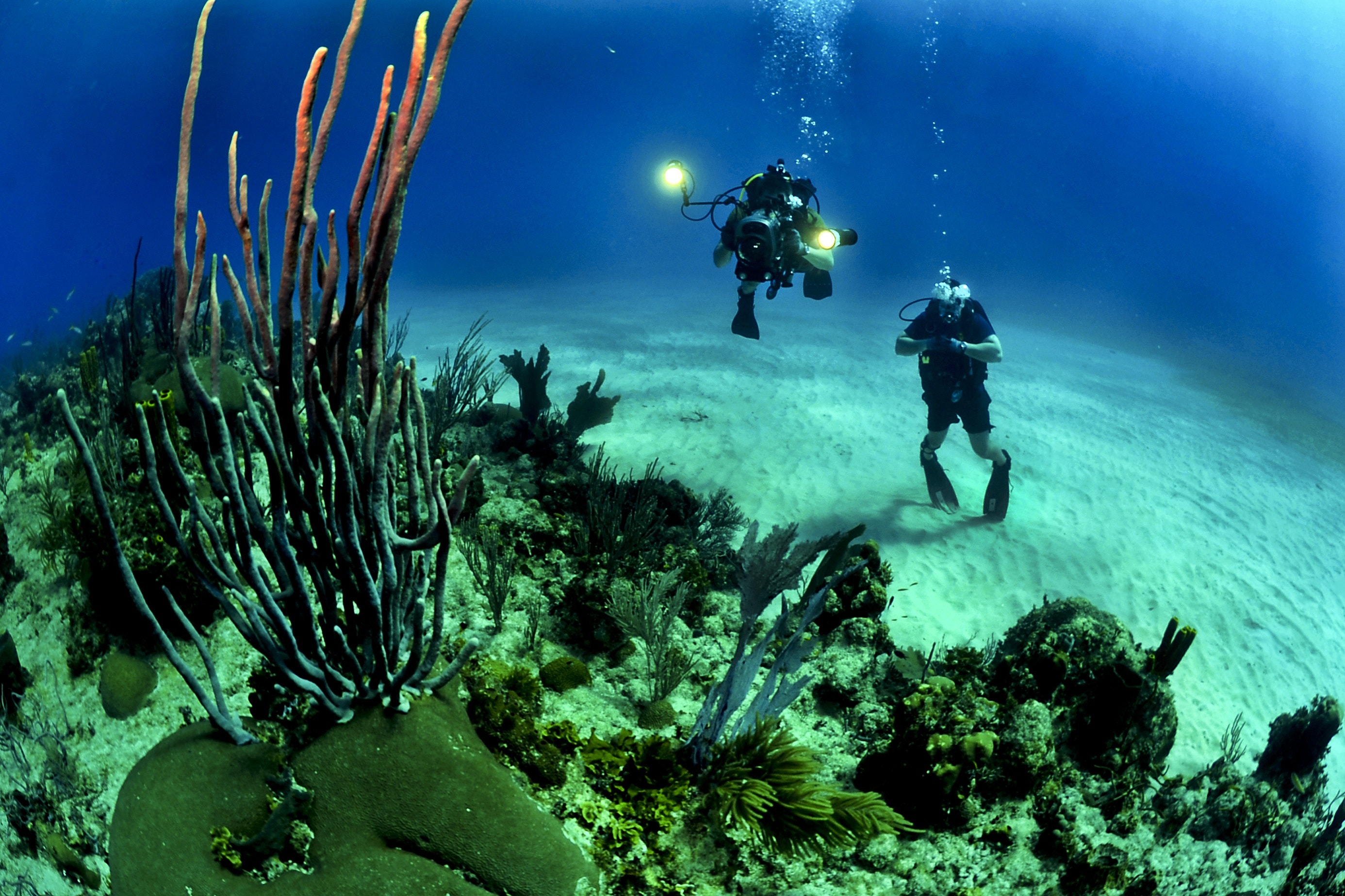 Diving shallow enough to stand/walk
